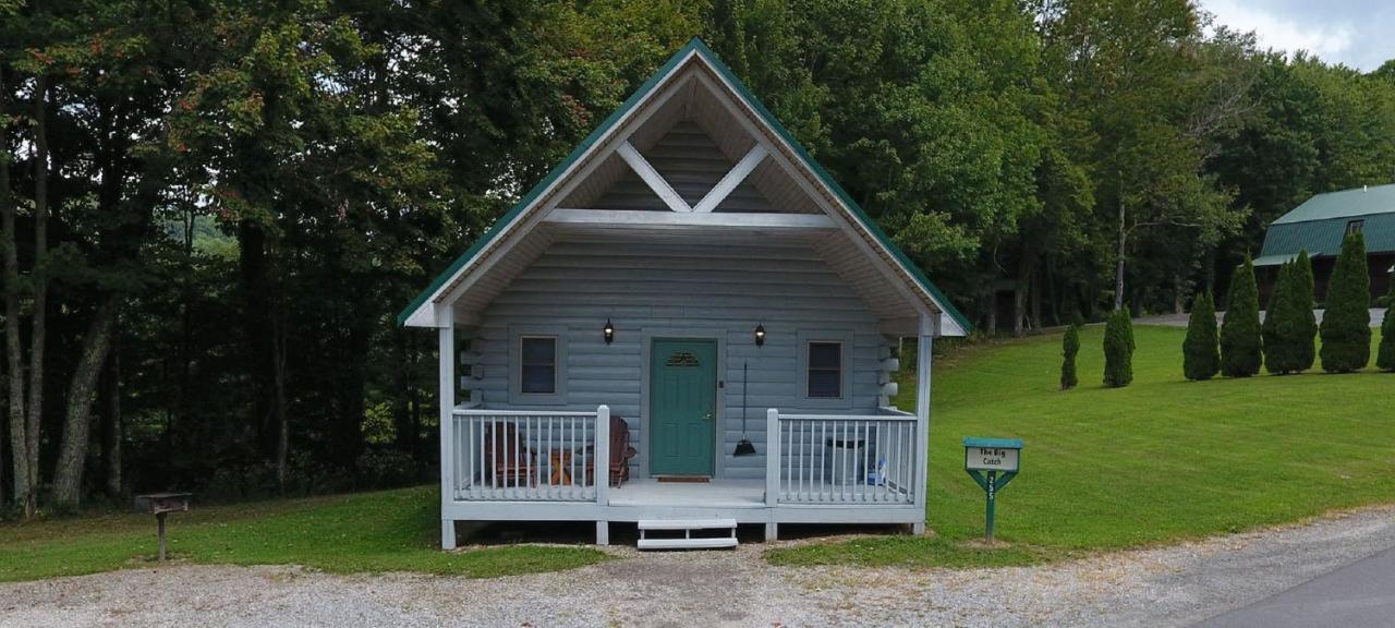 The Cabins At Pine Haven - Beckley Beaver Экстерьер фото